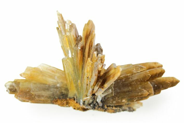 Sharp Bladed Blue Barite Cluster with Limonite - Morocco #365635